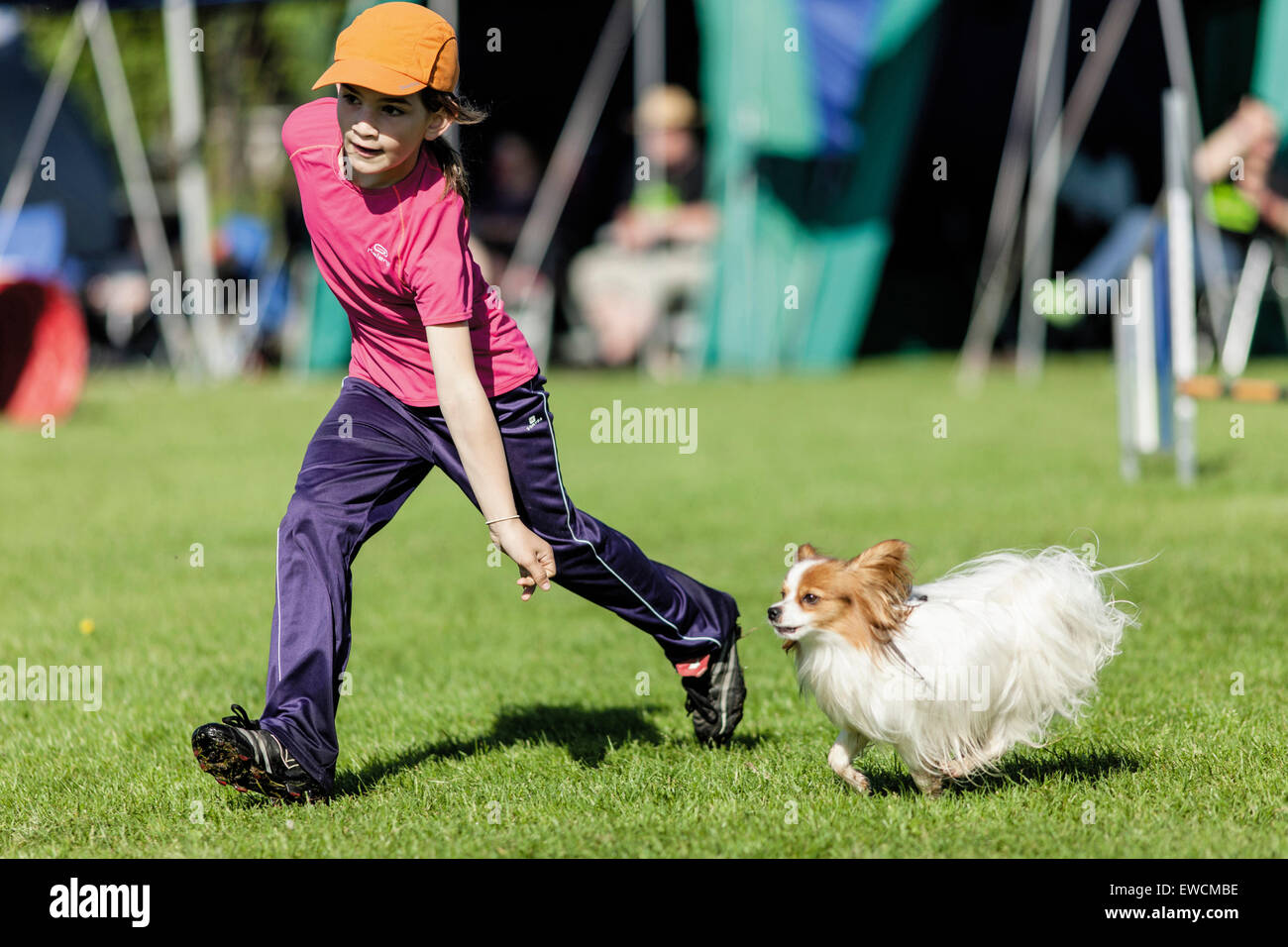 Mädchen und ihr Hund an einem Agility-Wettbewerb teilnehmen. Deutschland Stockfoto
