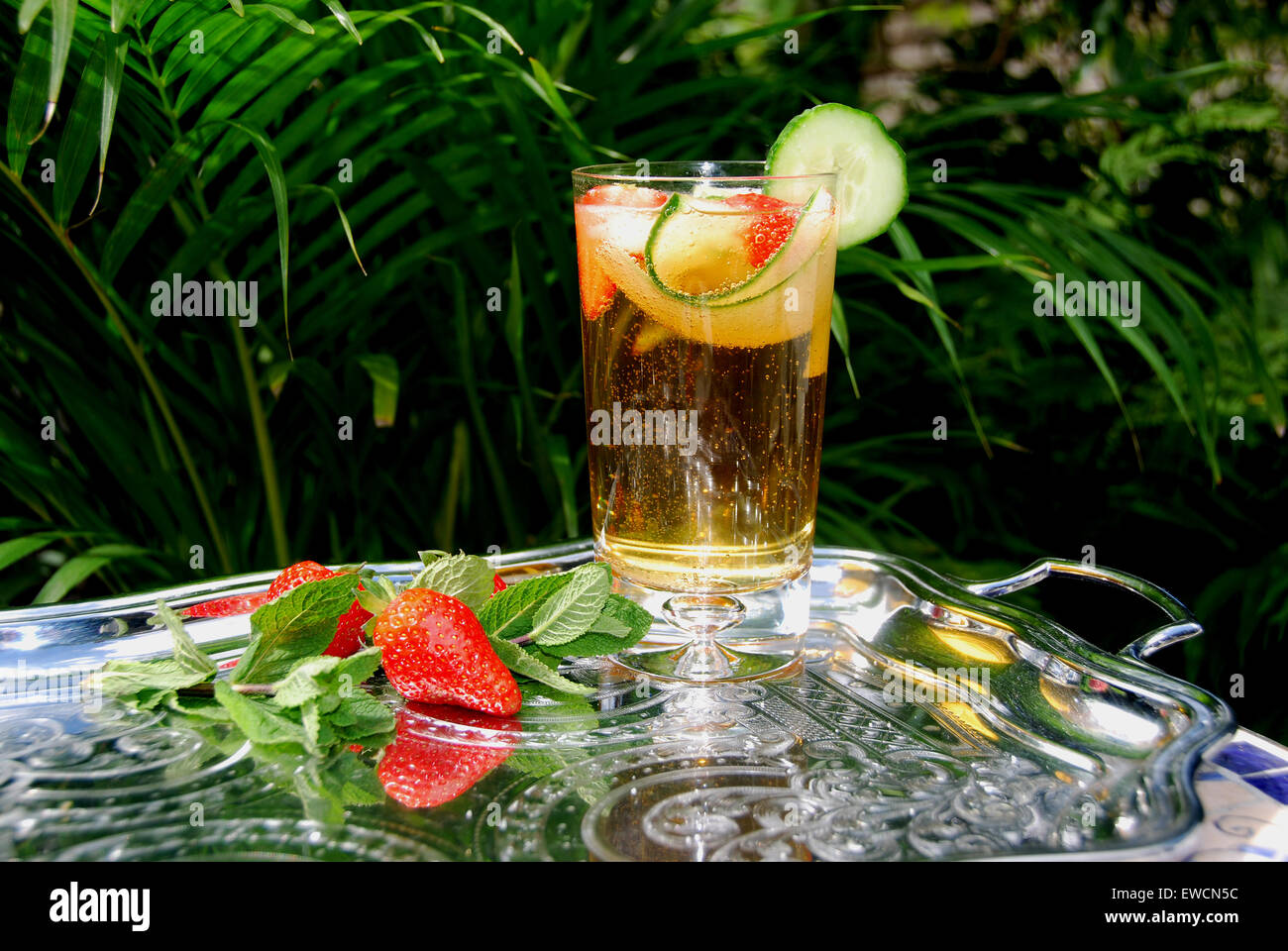 PIMMS Sommergetränk, gesetzt auf einem silbernen Tablett. Ein Cocktail aus frischen Früchten, Minze, Gurke Limonade und Alkohol. Stockfoto