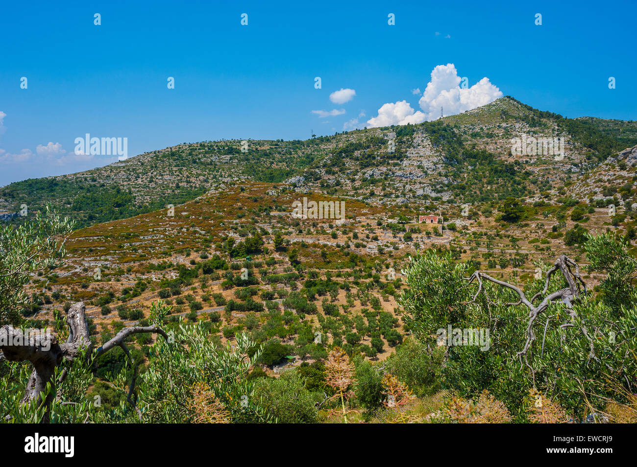 Apulien-Gargano-Nationalpark Landscapèe Stockfoto
