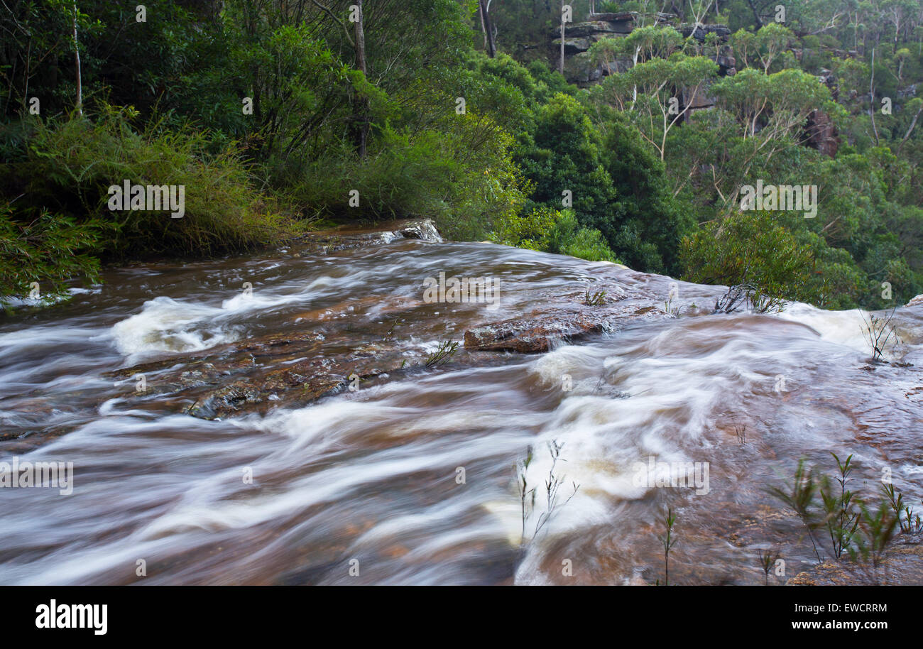 Kellys Falls Wasserfall, Garawarra State Conservation Area, in der Nähe von Stanwell Tops, NSW, Australien Stockfoto