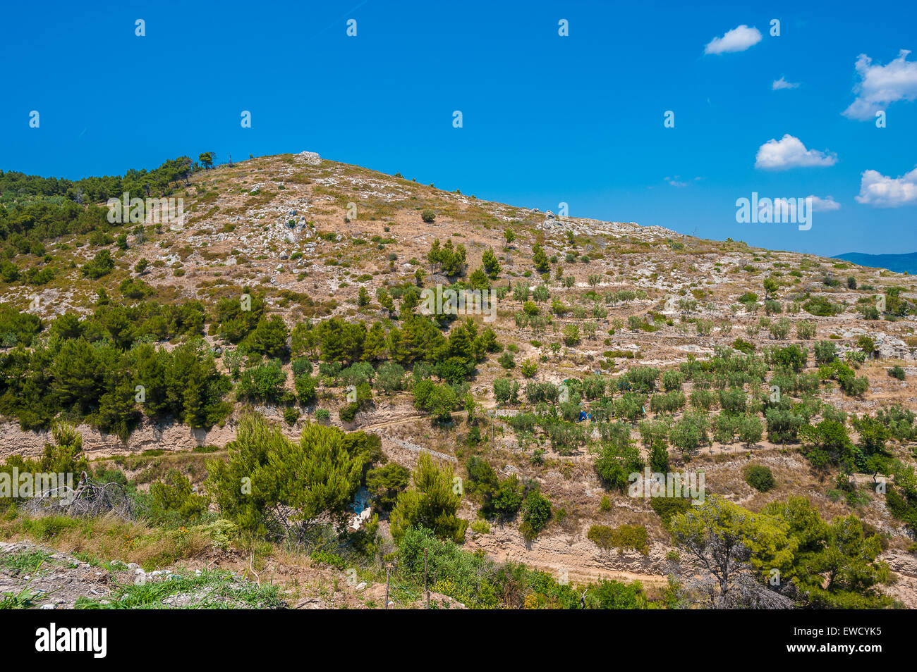 Apulien Gargano Nationalpark Landschaft Stockfoto