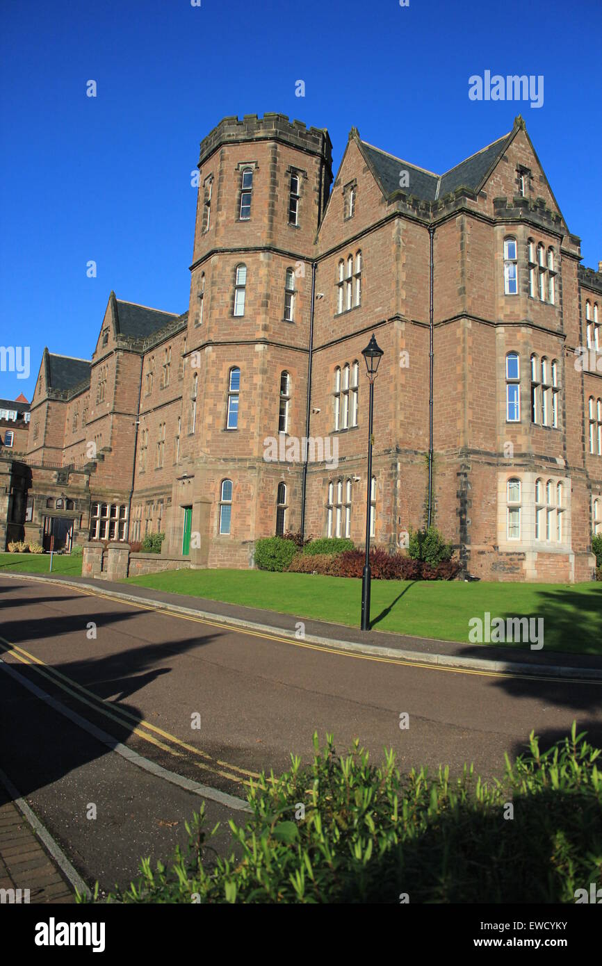 DRI, VON DER SEITE Stockfoto