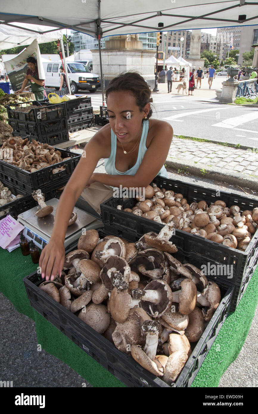 Frau sieht über frisch gepflückten Pilze zum Verkauf an der Grand Army Plaza Farmers Market, Brooklyn, NY. Stockfoto
