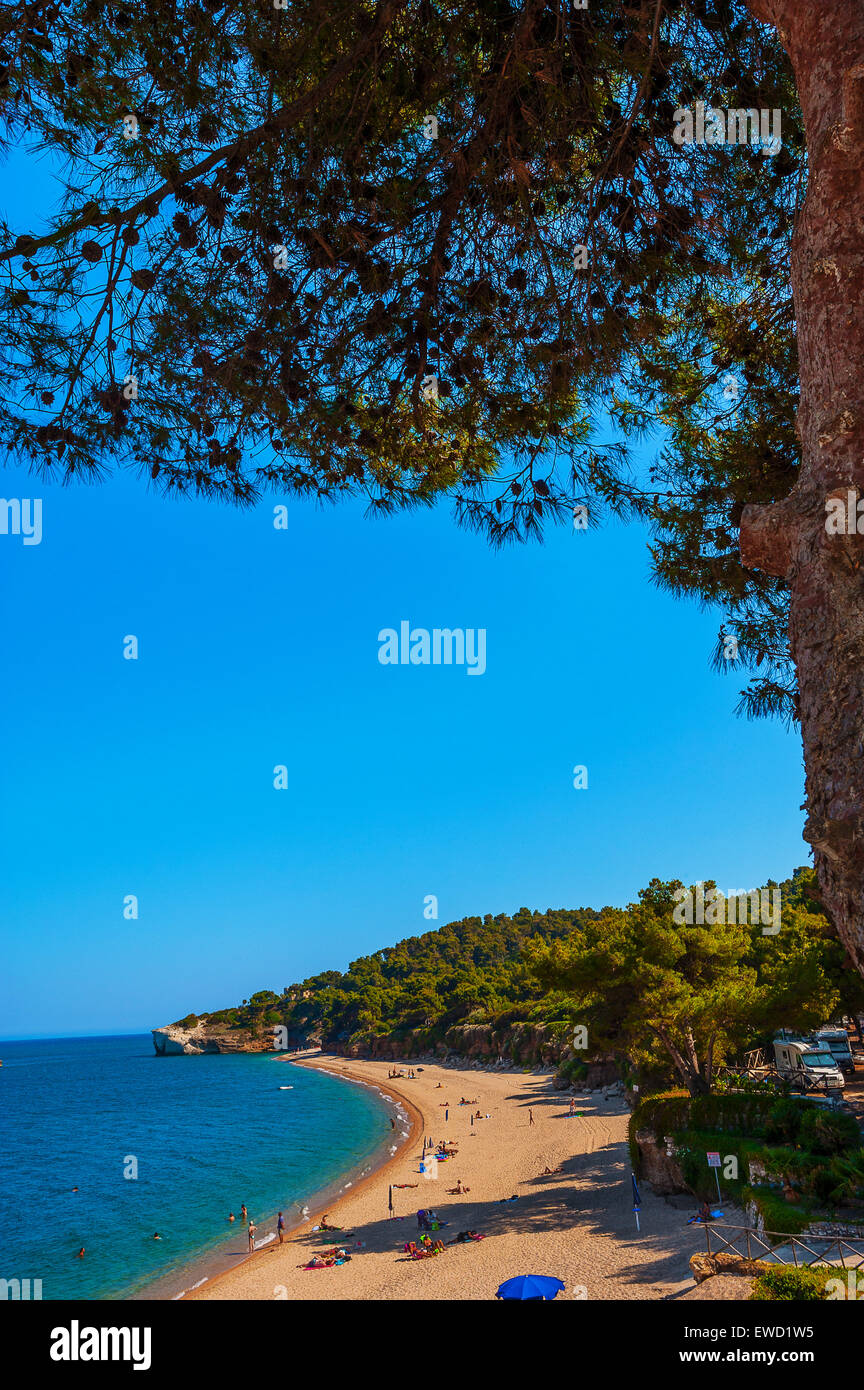 Italien Apulien Gargano National Park Campi Bay Stockfoto