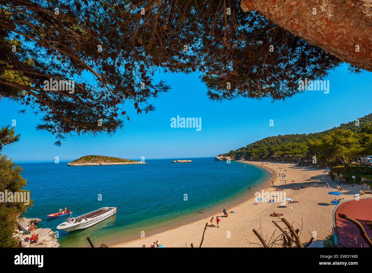 Italien Apulien Gargano National Park Campi Bay Stockfoto