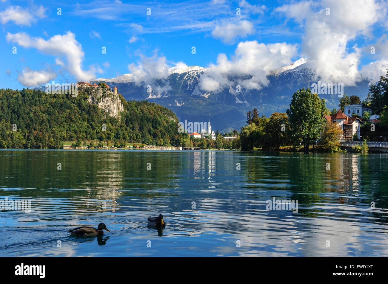 Slowenien, Region Gorenjska, See Bled Stockfoto