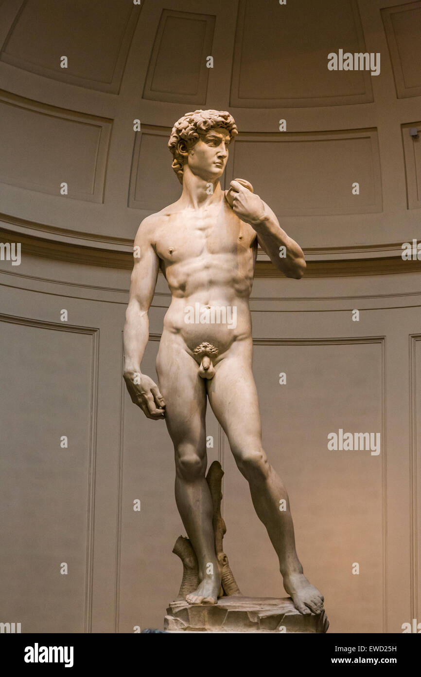 Statue des David von Michelangelo, Galleria dell ' Accademia, Florenz, Italien Stockfoto