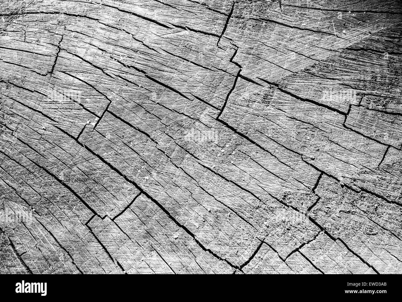 abstrakte Kunst Hintergrund schwarz-weiß Board Kreis Closeup konzentrischen Aufbau geknackt geschnitten Detail leer Wald Grunge hist Stockfoto