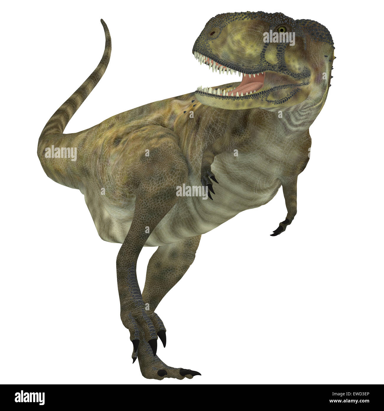 ein WischundwegBuch Dinosaurier PDF