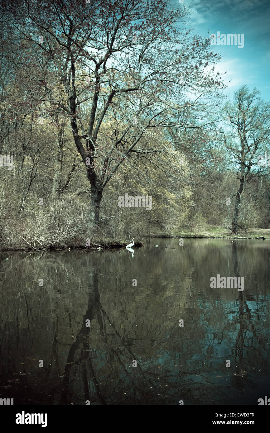 Liebliche Landschaft Szene vom Prospect Park in Brooklyn, New York mit Bäumen, Teich und Kran Stockfoto