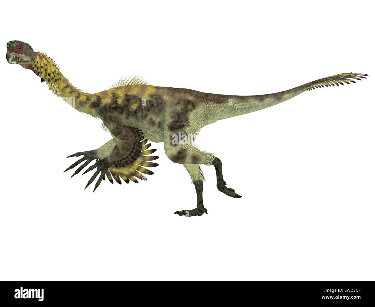 Citipati war ein Allesfresser theropoder Dinosaurier, der in der Mongolei während der Kreidezeit gelebt. Stockfoto