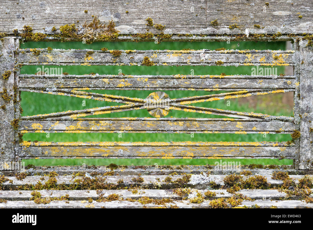 Flechten Sie auf eine dekorative Holz Gartenbank Stockfoto