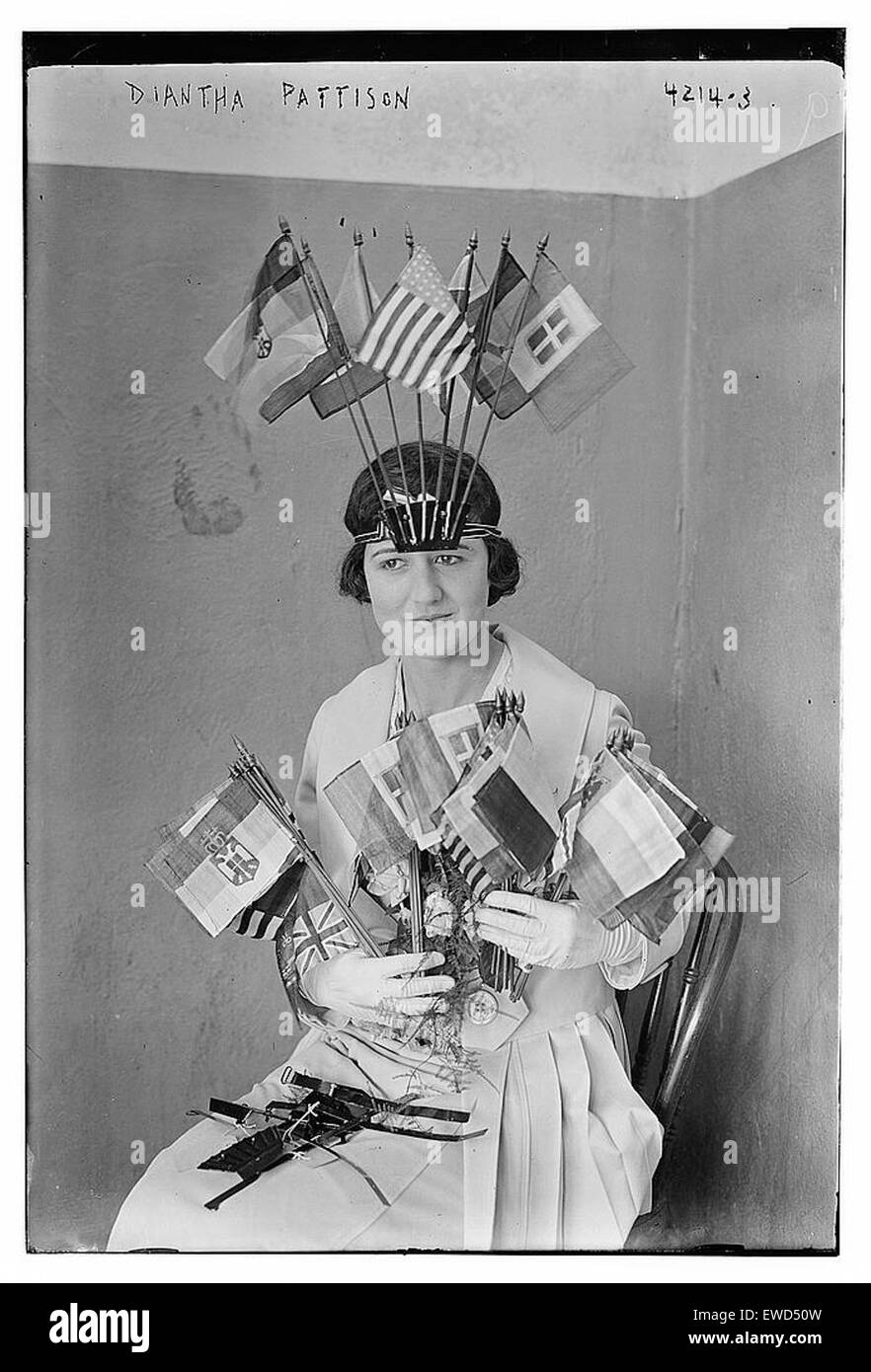 Diantha Pattison war eine renommierte Künstlerin, die vor allem für ihre detaillierten botanischen Illustrationen und Beiträge zum Bereich der Naturkunst bekannt ist. Ihre Werke zeigten oft präzise Darstellungen von Pflanzen und Blumen. Stockfoto