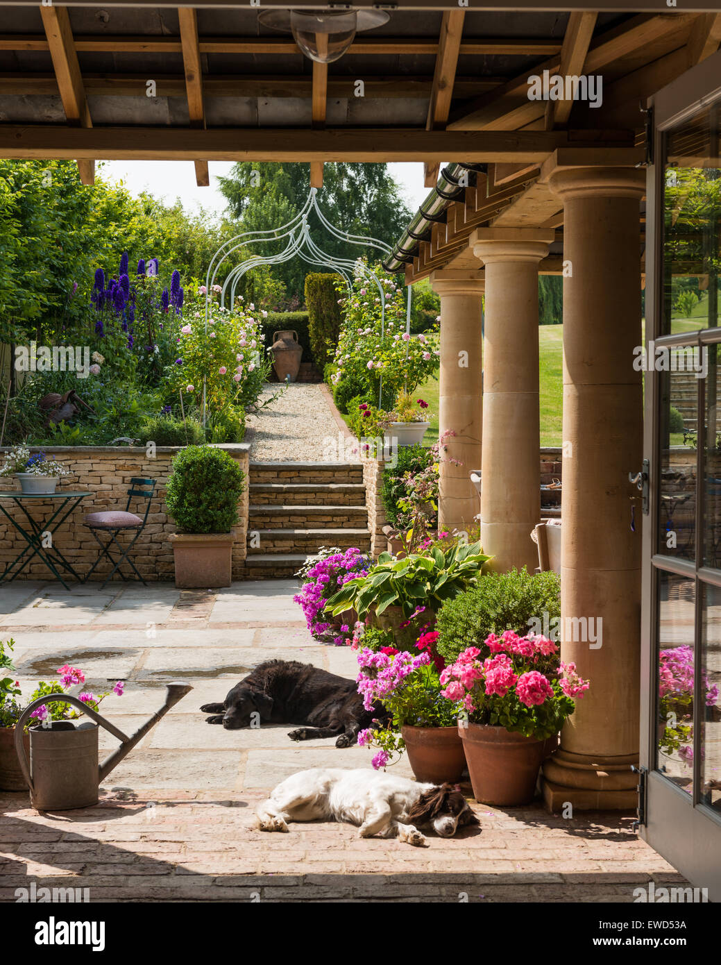 Blick von der Loggia, sonniger Garten mit schlafenden Hunde und Topfpflanzen Geranien nachschlagen Stockfoto