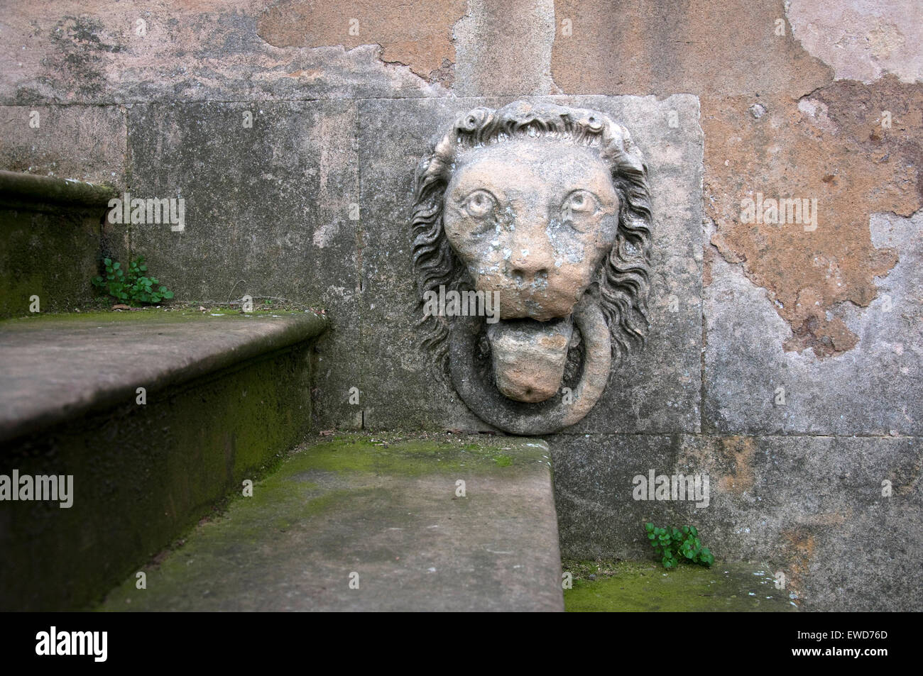 Stein-Löwen an der Wand an Wollaton Hall in Nottingham England UK Stockfoto