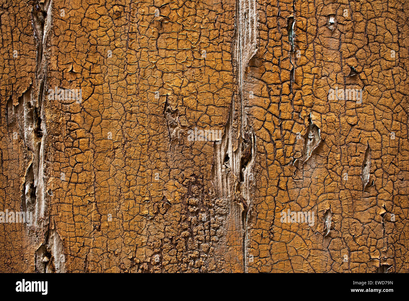 Alte hölzerne rissige Hintergrund overhead Shooting hautnah Stockfoto