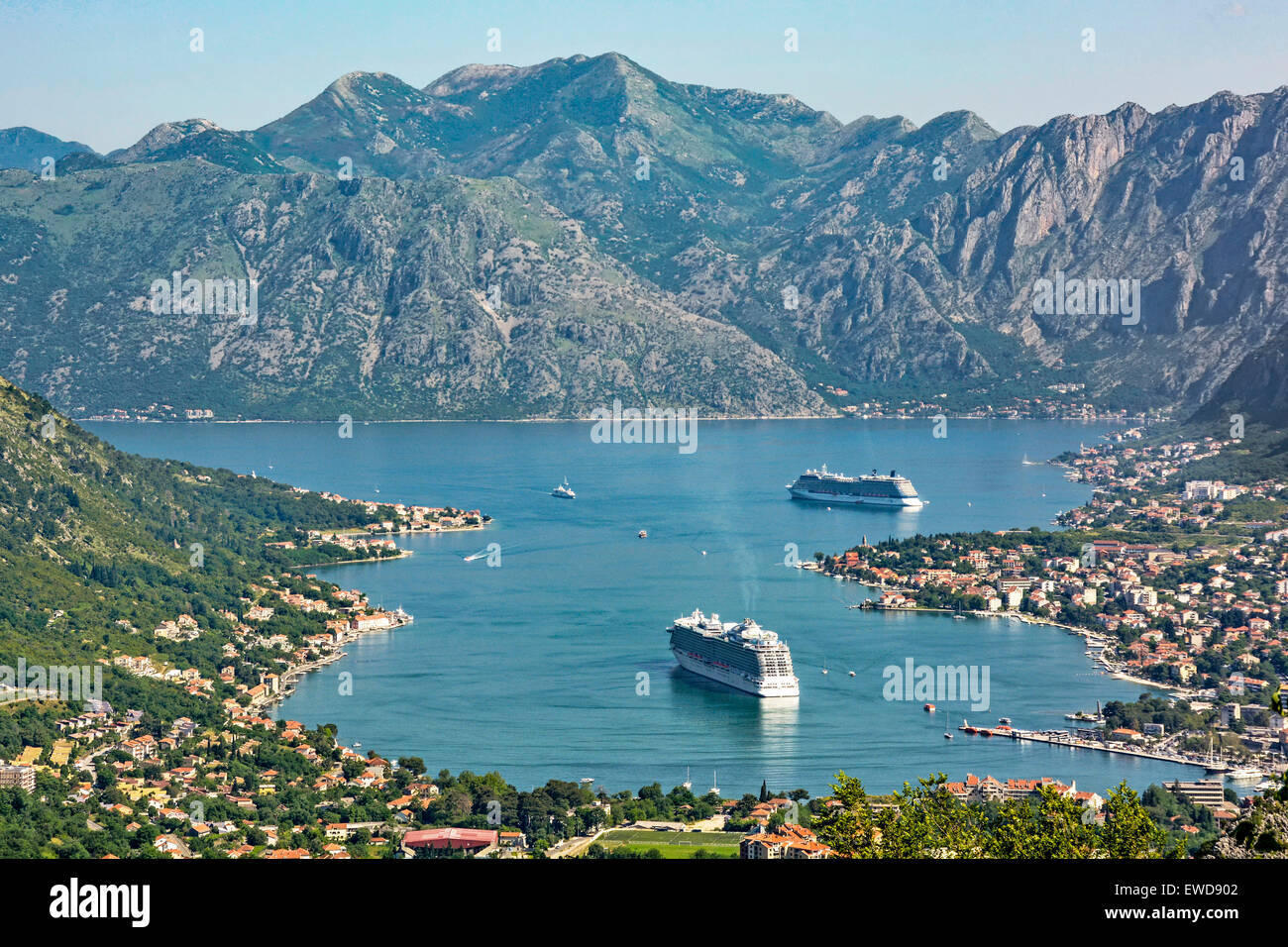 Montenegro, Kotor hinunter auf die Stadt und die Bucht von Kotor mit Kreuzfahrtschiff Regal Princess und Celebrity Silhouette suchen günstig an der Küste Stockfoto