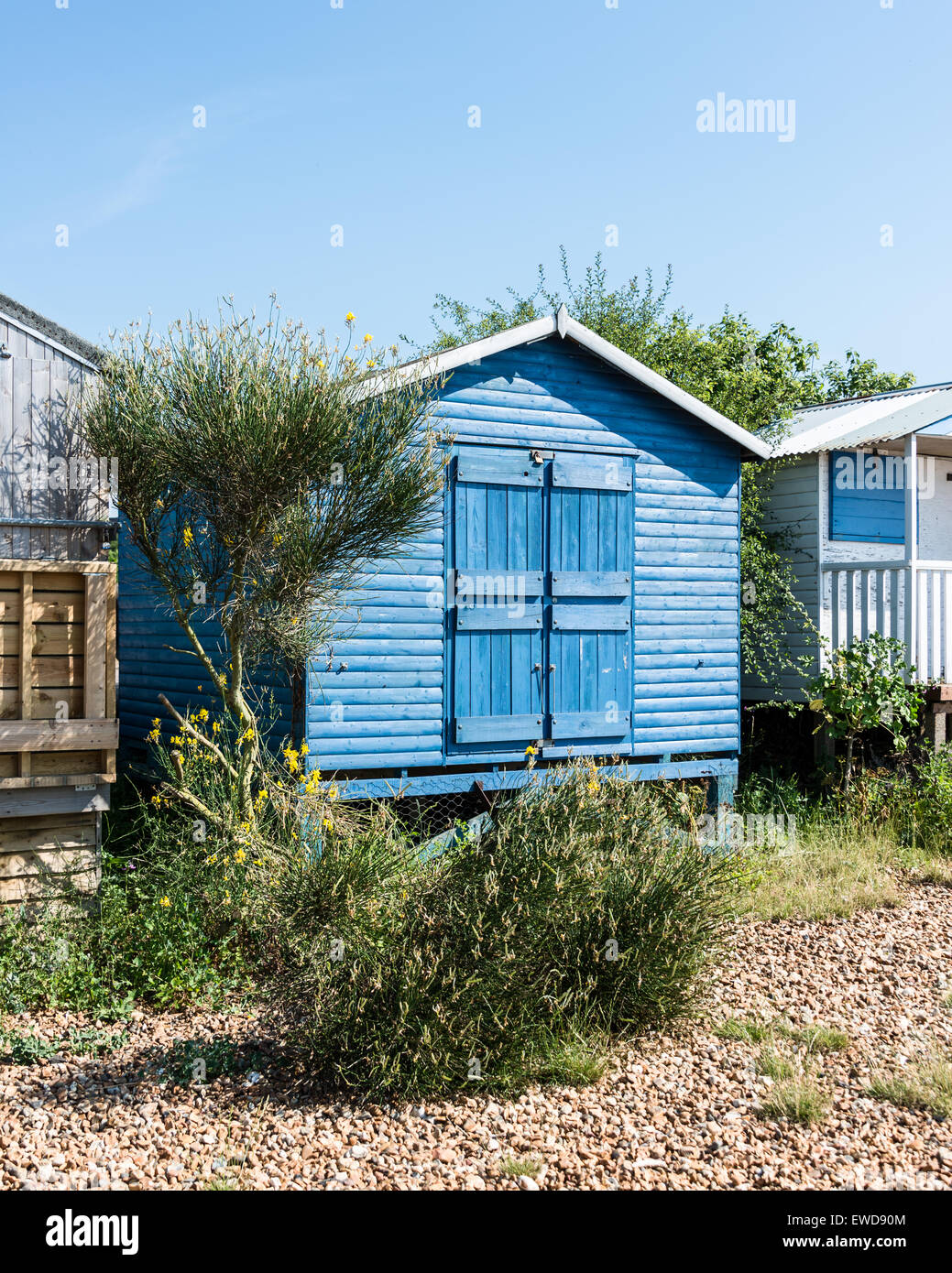 Blaue Strandhütte mit Stalltüren Stockfoto