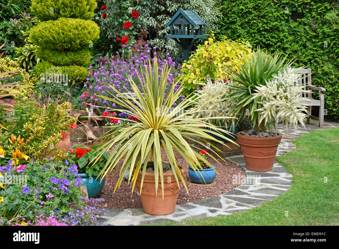 Zurück Garten Design gemischte Pflanzen für Farbeffekt & Topfe Pflanzen für flexible abwechslungsreiche Arrangements mit Nadelbaumhecke Hintergrund Sommer Essex England Großbritannien Stockfoto