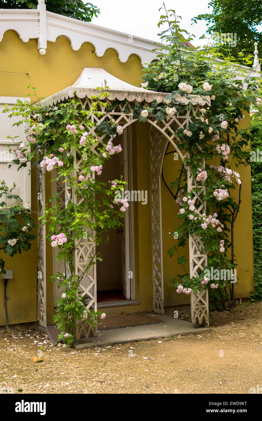 Englisch duftenden Rosen in Bath Somerset Stockfoto