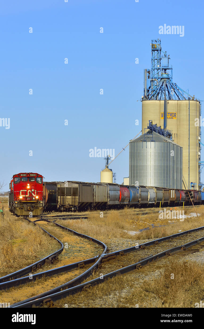 Ein vertikales Bild eines kanadischen nationalen Güterzugs Korn Autos laden Stockfoto