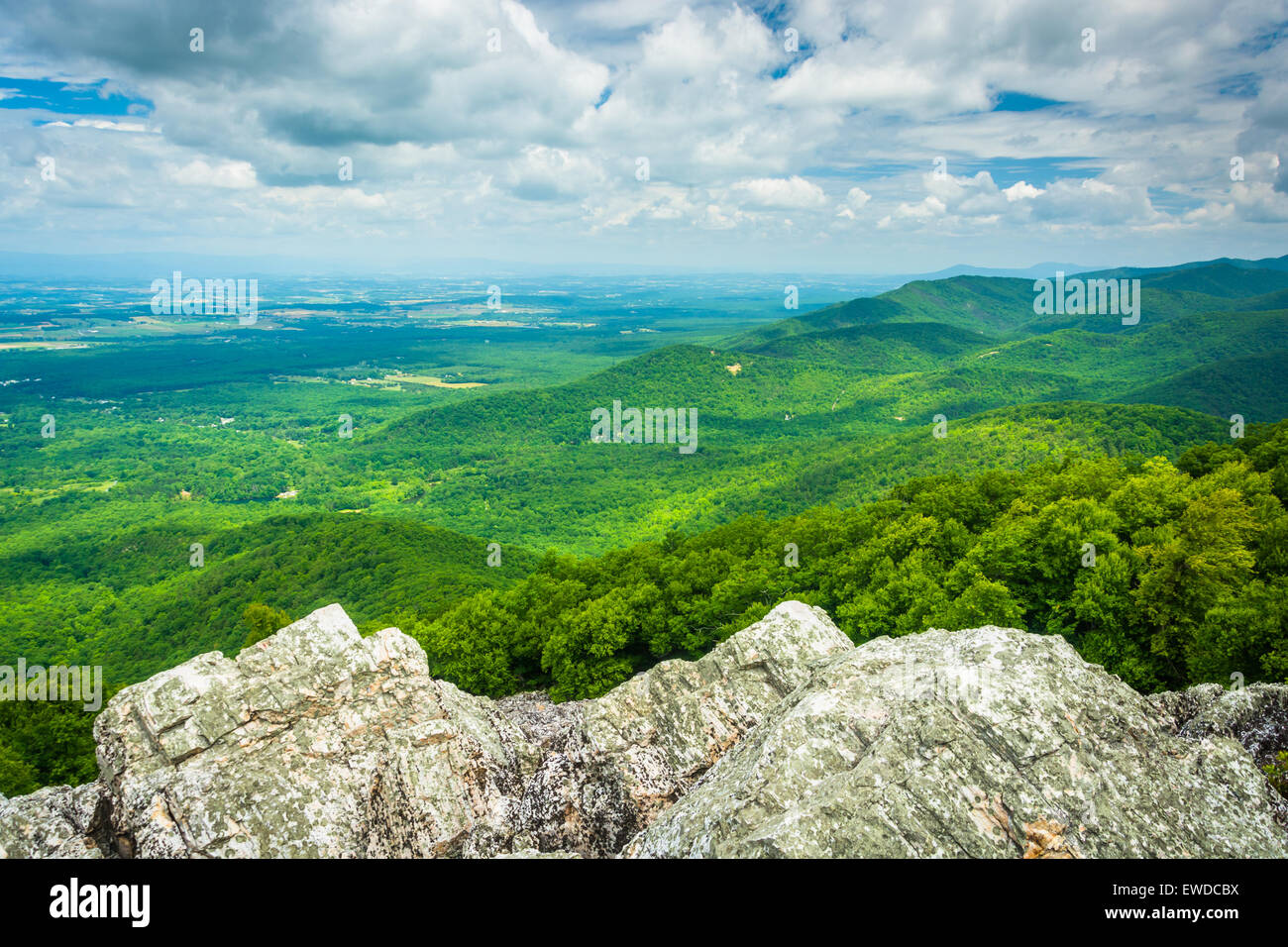 Blick auf die Blue Ridge Mountains von Turk Berg im Shenandoah-Nationalpark, Virginia. Stockfoto