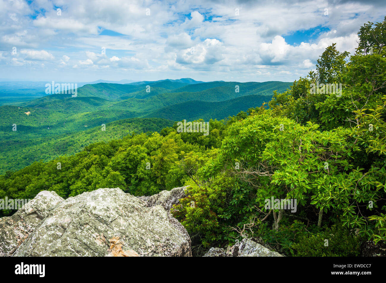 Blick auf die Blue Ridge Mountains von Turk Berg im Shenandoah-Nationalpark, Virginia. Stockfoto