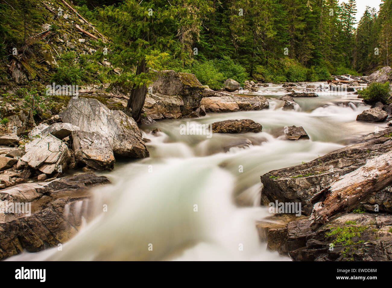 Cle Elum River, Okanogan-Wenatchee National Forest, Washington, USA Stockfoto