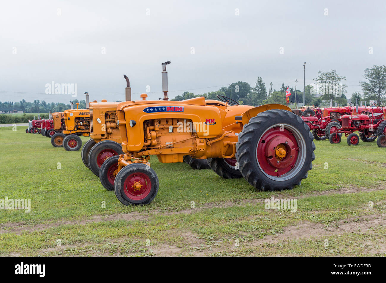 Reihe von Minnesota Moline Antike Traktoren auf antiken Power Show in Lindsay, ONtario Stockfoto