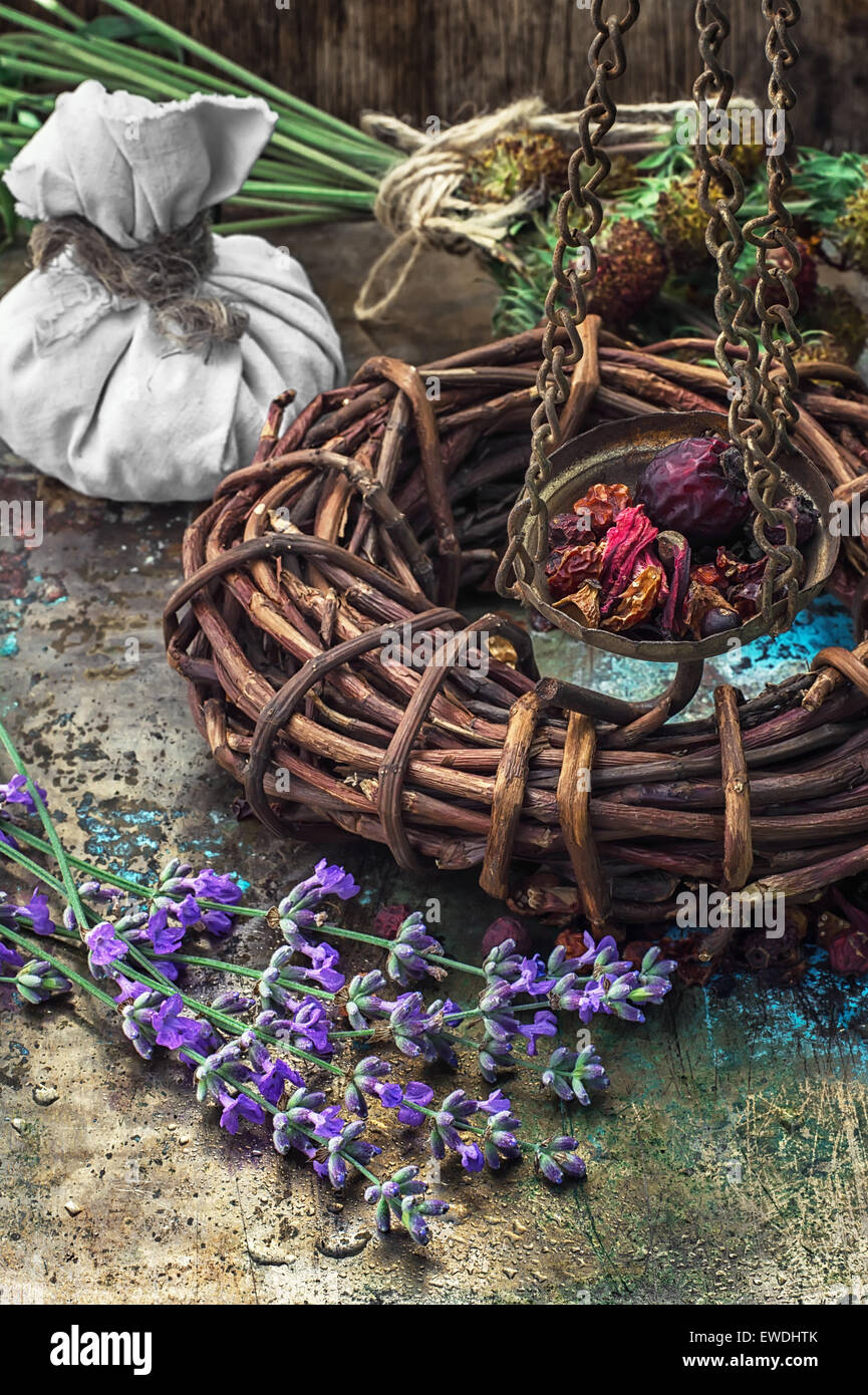 gesammelte und getrocknete Heilkräuter und Pflanzen für Kräuterkunde ist. Foto getönt Stockfoto