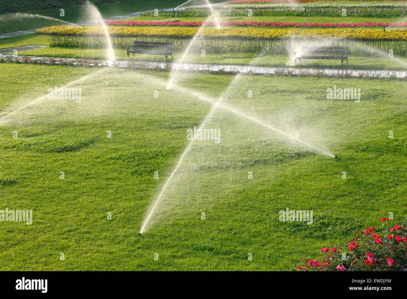 Automatische Sprinkleranlage bewässern Rasen Stockfoto