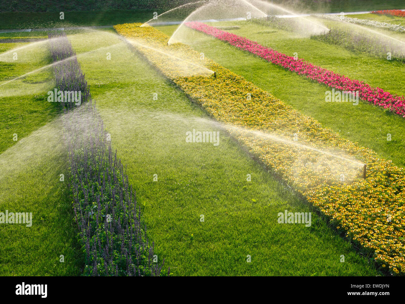 Sprinkleranlage im Blumenbeet Stockfoto