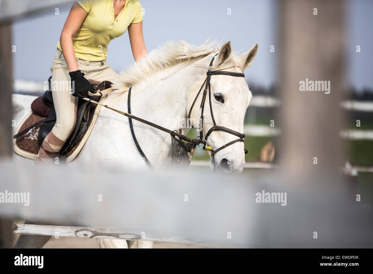 Junge Frau springen mit Pferd Stockfoto