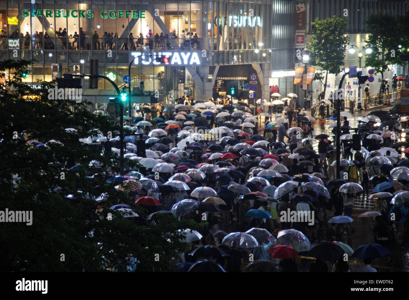 Shibuya Crossing nachts im Regen in Tokyo, Japan Stockfoto