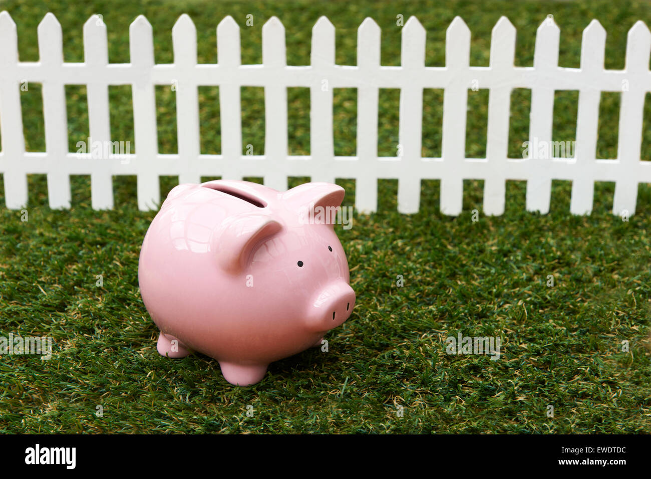 Sparschwein auf dem Rasen mit weißer Zaun Stockfoto