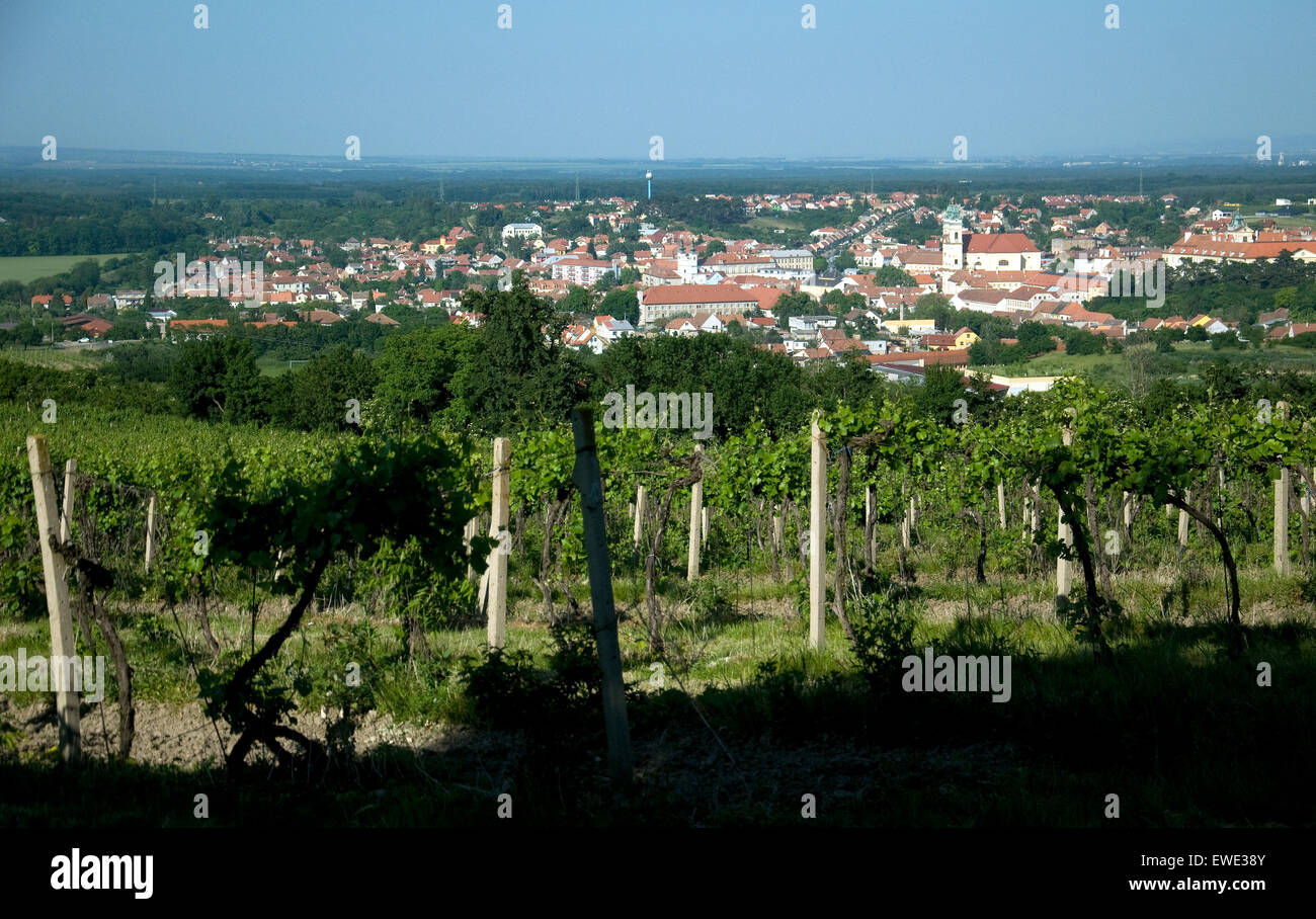 Valtice, Tschechische Republik-Stadt, die bekannt für Weine, betrachtet über einen Hügel-Weinberg Stockfoto