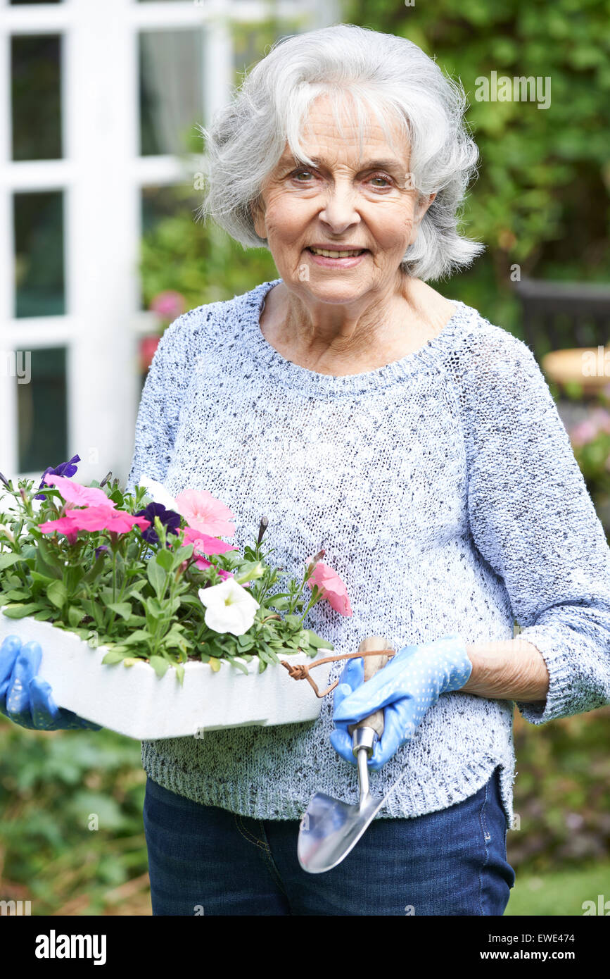 Portrait Of Senior Woman Blumen im Garten Pflanzen Stockfoto