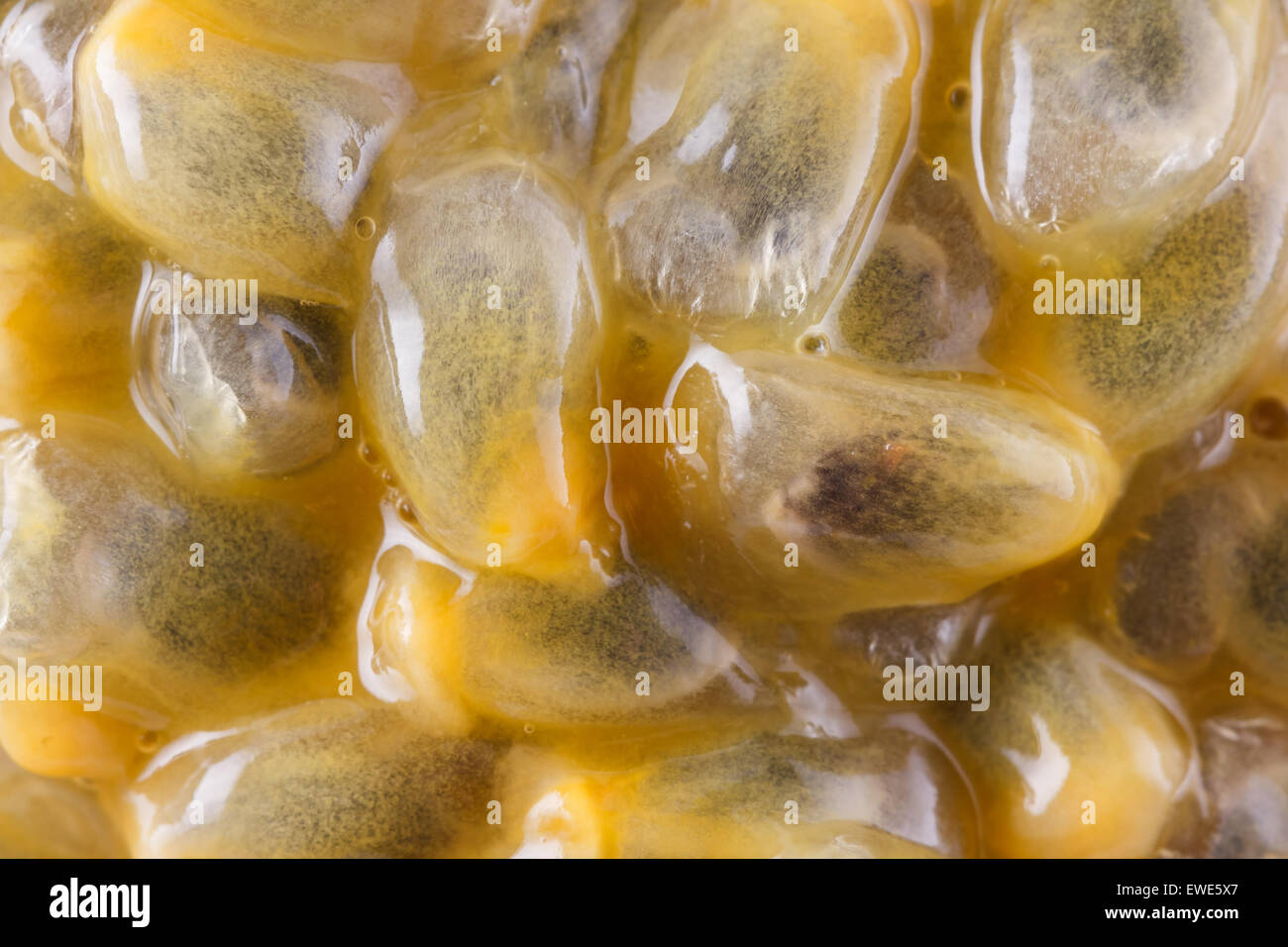 Nahaufnahme von Passionsfrucht Stockfoto