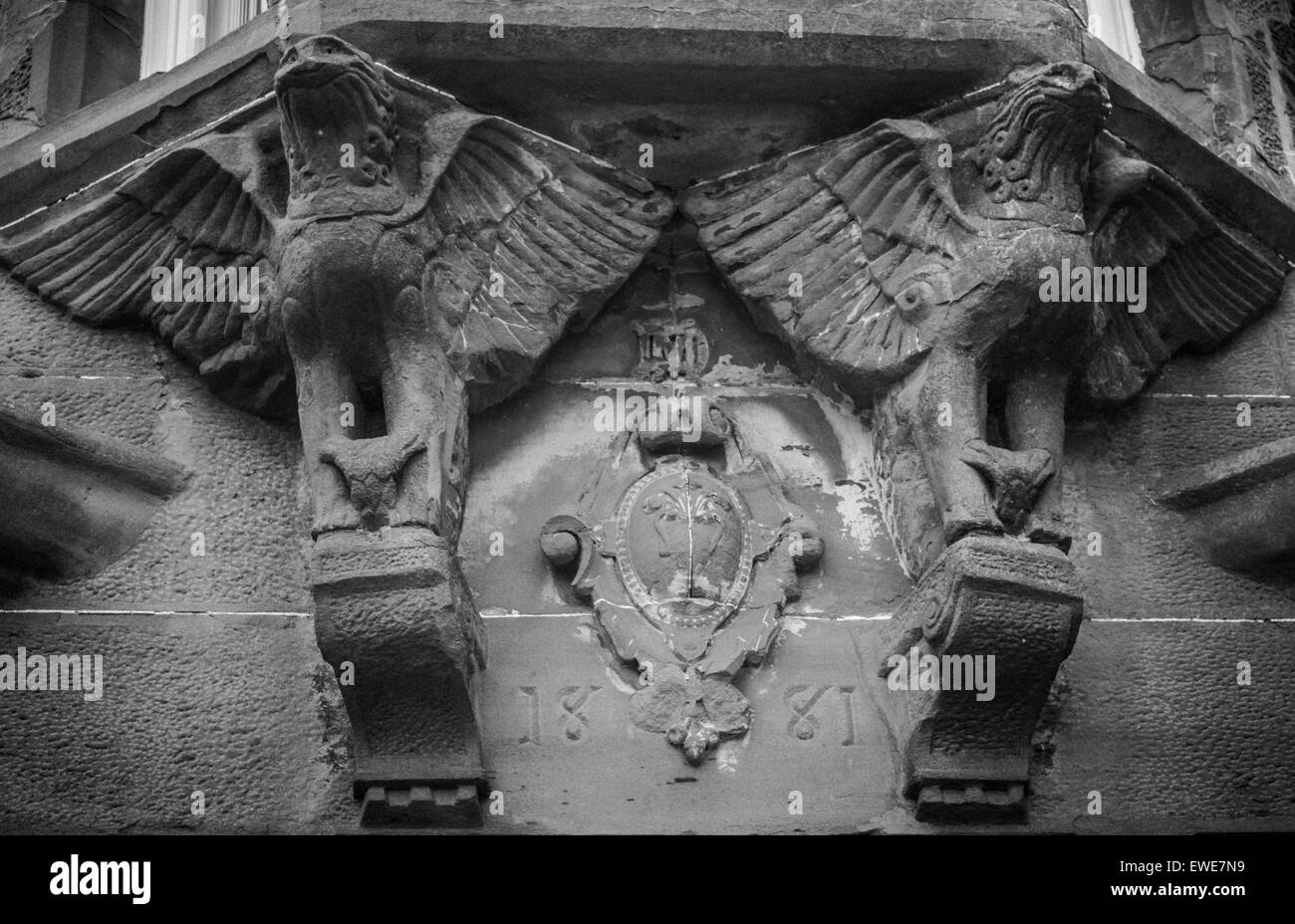 Adler auf Segler nach Hause, Dundee, Stockfoto