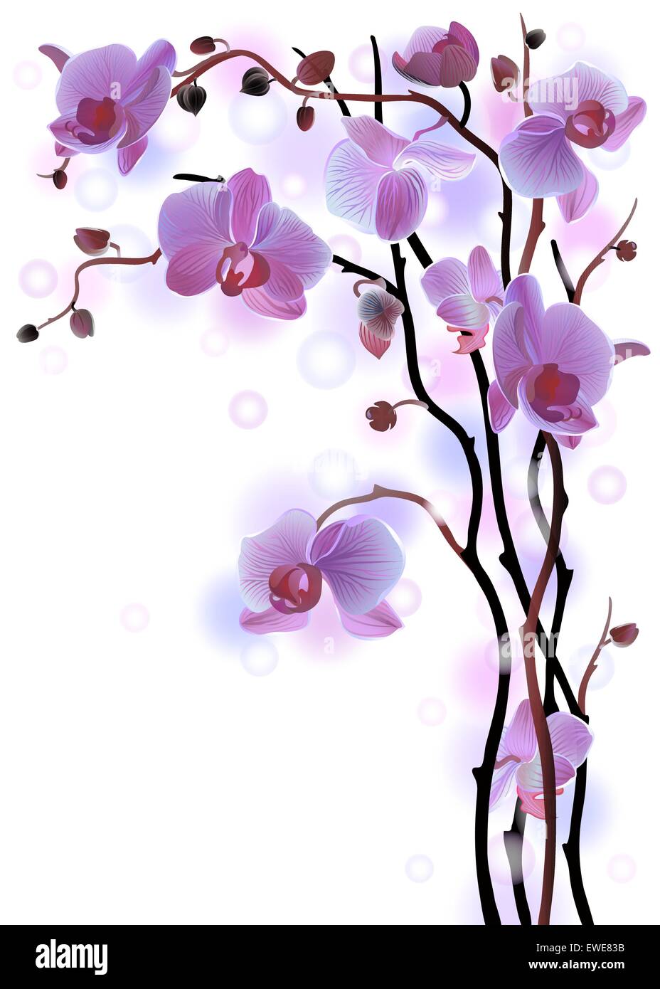 Vertikale Hintergrund mit violetten Orchideen Stock Vektor