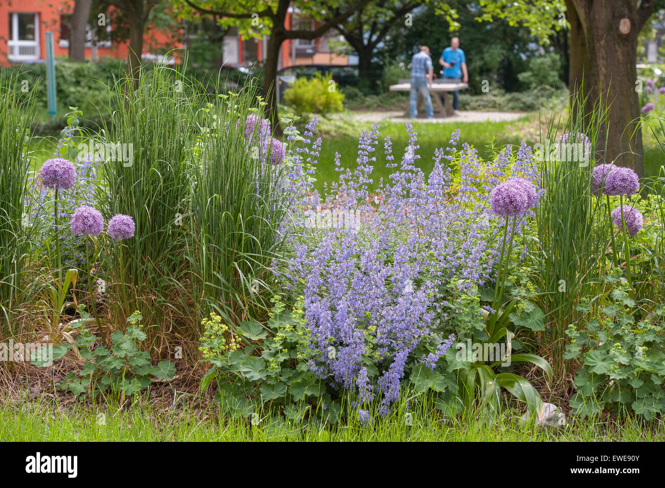 Berlin, Deutschland, den blühenden Garten im Innenhof der Wohnanlage in der Annenstraße Stockfoto