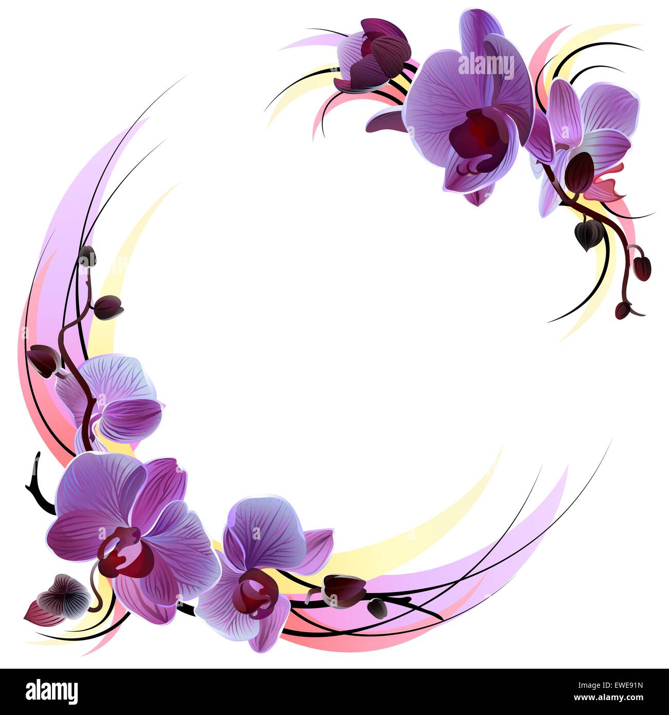 Weiße Grußkarte mit violetten Orchideen Stock Vektor