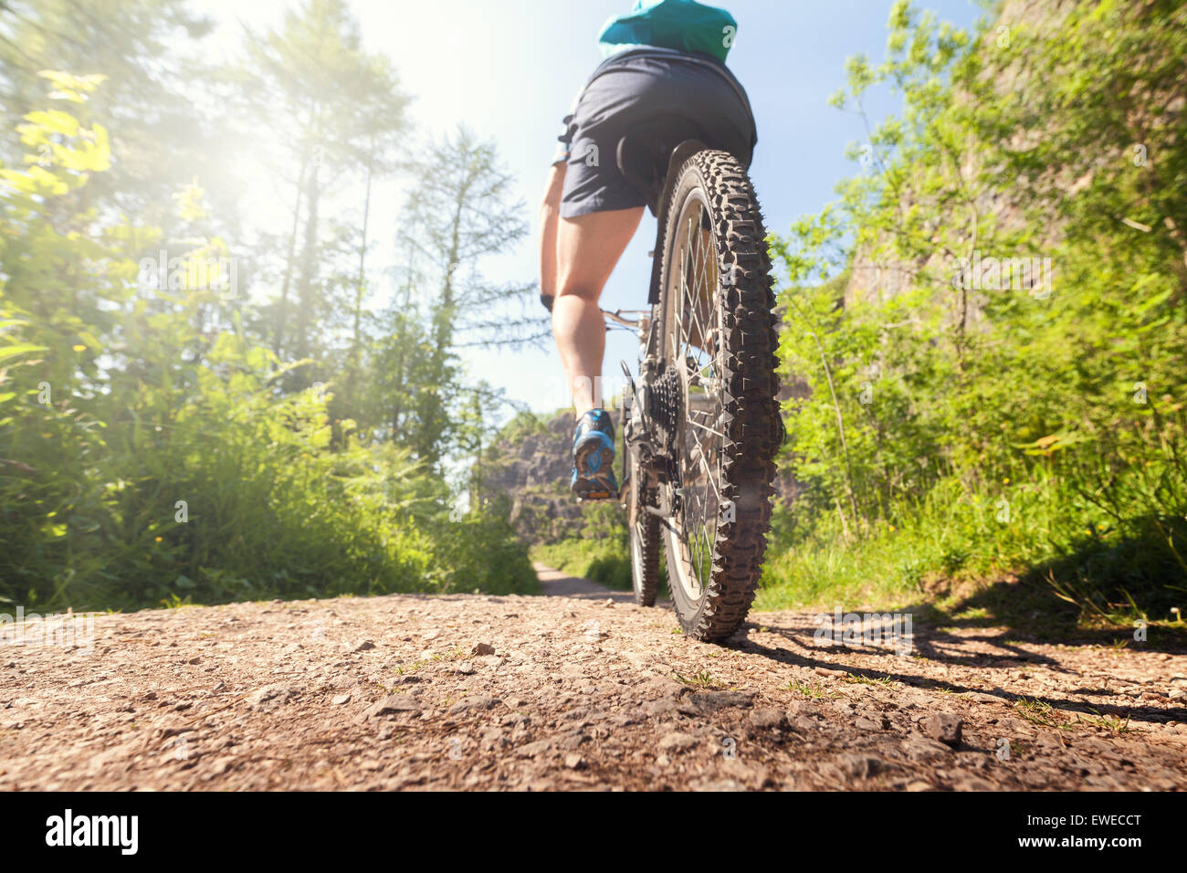 Mountainbiker in Aktion auf einem Wald-Trail-Konzept für gesunden Lebensstil, Bewegung und Extremsport Stockfoto