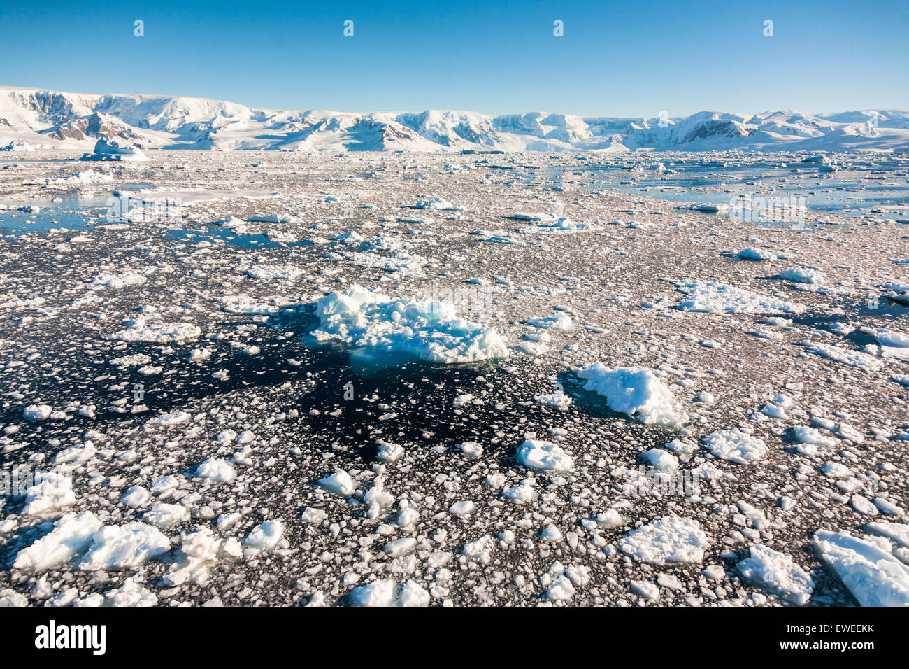 Dreiste Eis in der Antarktis Gerlache Strait, antarktische Halbinsel. Stockfoto