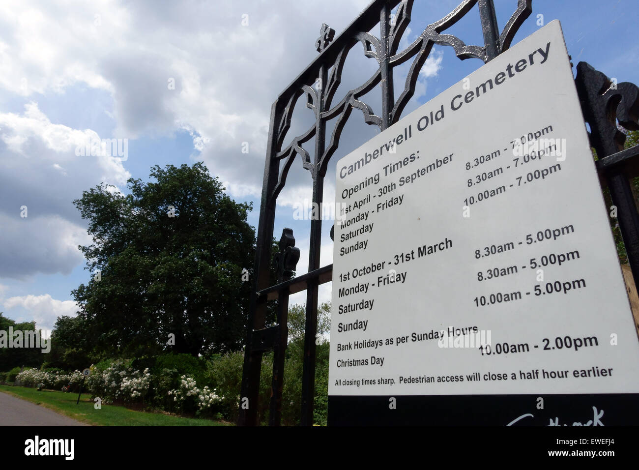 Camberwell alten Friedhof im Süden Londons, wo speichern Southwark Woods Kampagne wendet sich Rat gegen, plant, Bäume zu Fällen Stockfoto