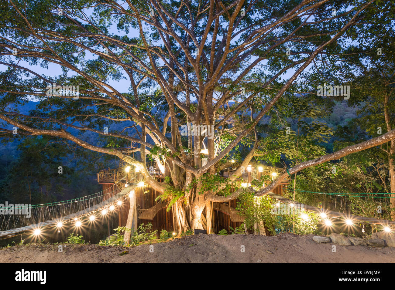 Haus Architektur Baum Lampe Magie Stockfotografie - Alamy