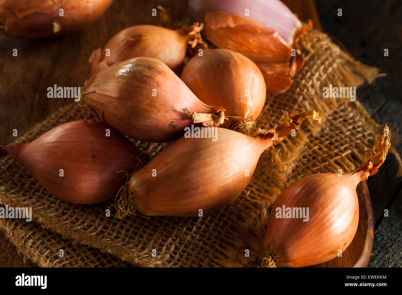 Rohe organische würzige Schalotten auf einem Hintergrund Stockfoto