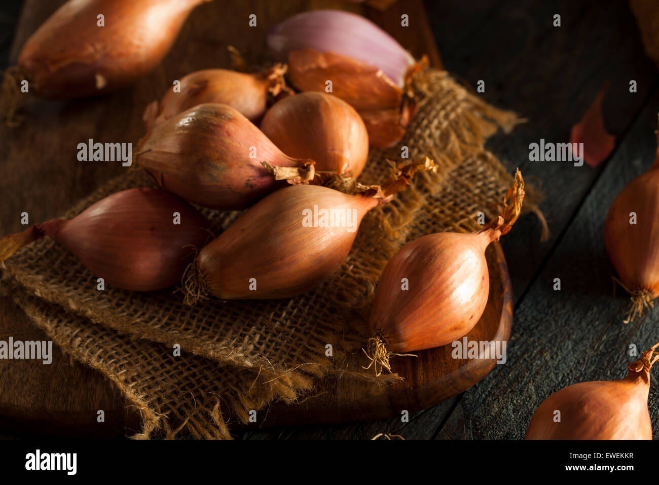 Rohe organische würzige Schalotten auf einem Hintergrund Stockfoto
