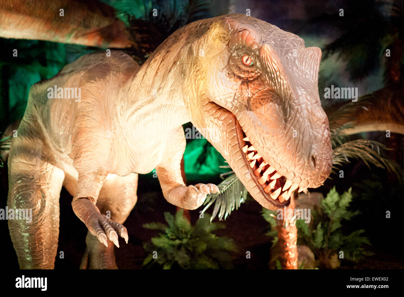 Eine Nahaufnahme von einem lebensgroßen Modell ein Albertosaurus an das Telus World of Science in Edmonton, Alberta, Kanada. Stockfoto