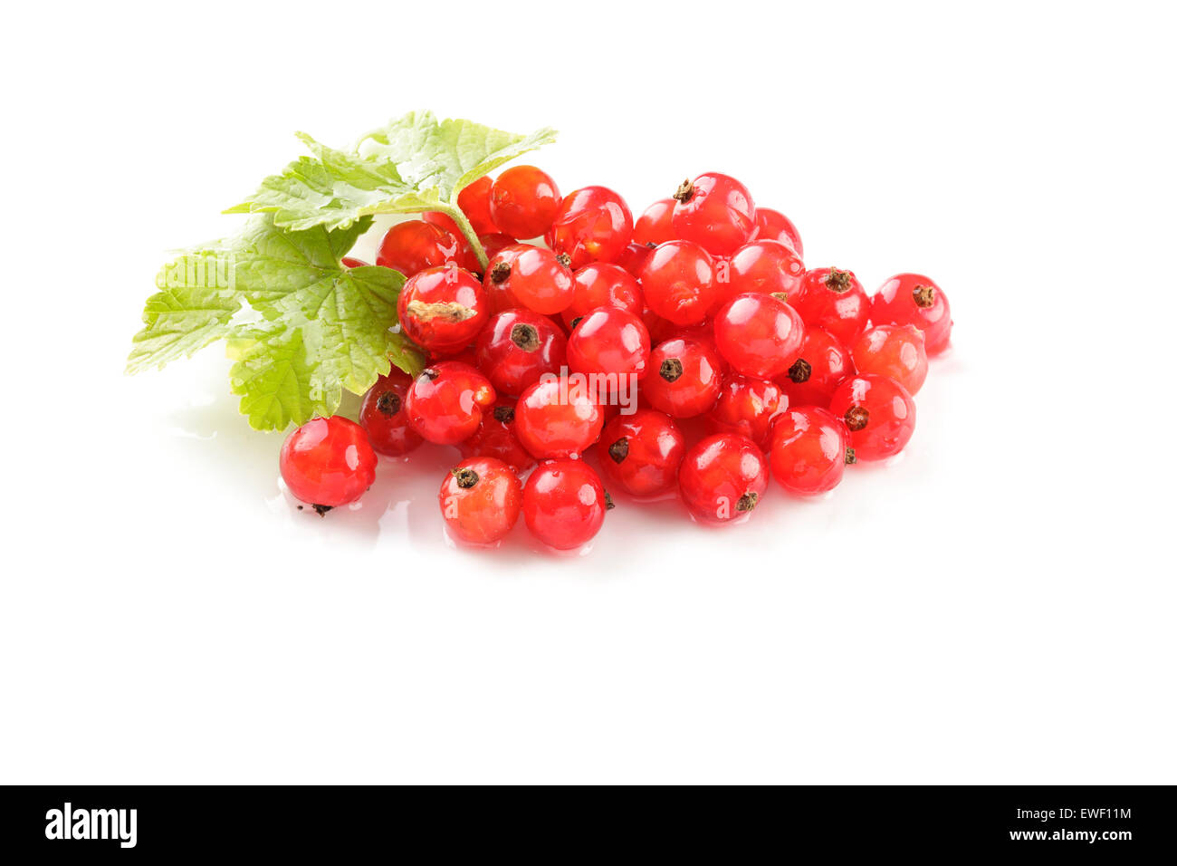 Rote Johannisbeeren Stockfoto